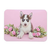 Mooie estige puppy met roze rozen magneet (Horizontaal)