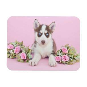 Mooie estige puppy met roze rozen magneet