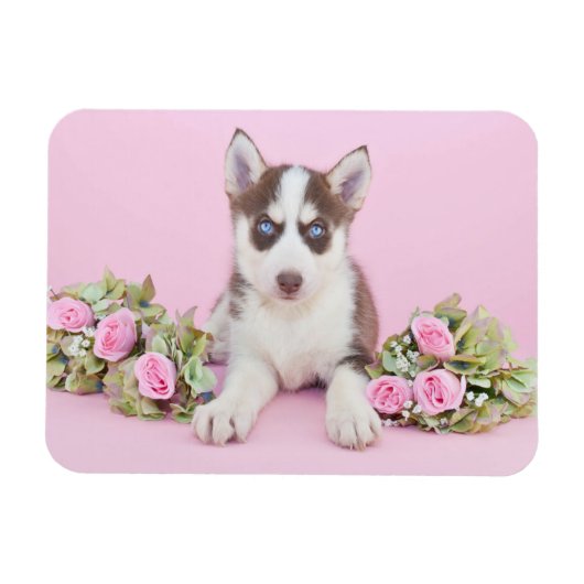 Mooie estige puppy met roze rozen magneet (Horizontaal)