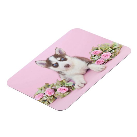 Mooie estige puppy met roze rozen magneet (Linkerzijde)