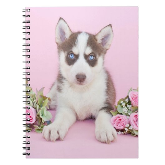 Mooie estige puppy met roze rozen notitieboek (Voorkant)