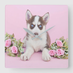 Mooie estige puppy met roze rozen vierkante klok