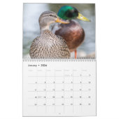 Mooie Eucks fotografie Kalender (Jan 2026)