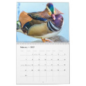 Mooie Eucks fotografie Kalender (Feb 2027)