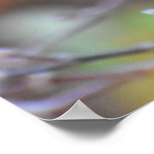 Mooie Europese Robin Poster (Hoek)