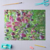 Mooie Fairy Wings Bloemen & Buds Weefselpapier Tissuepapier (Craft)