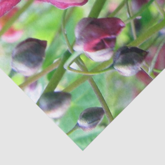 Mooie Fairy Wings Bloemen & Buds Weefselpapier Tissuepapier (Detail)