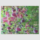 Mooie Fairy Wings Bloemen & Buds Weefselpapier Tissuepapier (Voorkant)