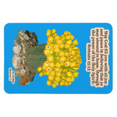 Mooie fakkel Cactus Schrift Romeinen 15:13 Magneet (Horizontaal)