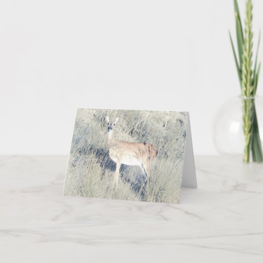 Mooie Fawn - Blank Wenskaart Kaart (Voorkant)