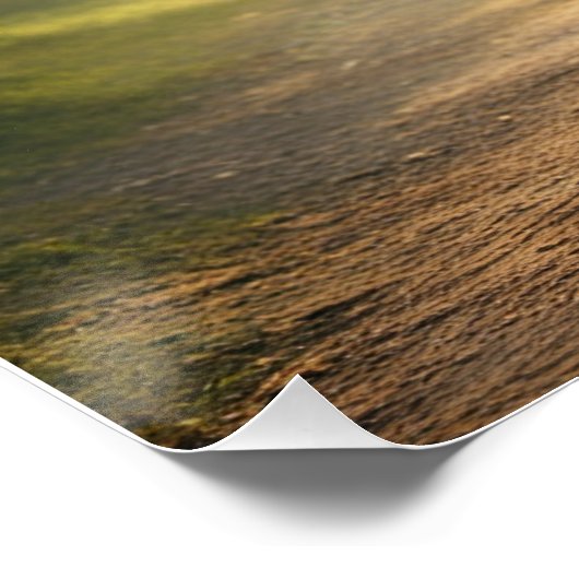 Mooie fee Poster print (Hoek)