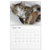 MOOIE FELINES KALENDER (Feb 2026)