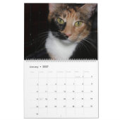 MOOIE FELINES KALENDER (Jan 2027)