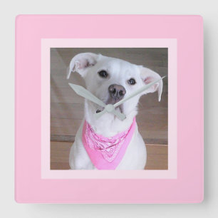 Mooie Feminine Cute White Dog in Roze Scarf Vierkante Klok