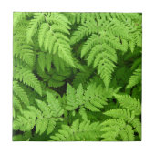 Mooie fernbladeren tegeltje (Voorkant)