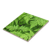 Mooie fernbladeren tegeltje (Zijkant)
