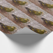 Mooie Finch Cadeaupapier (Hoek)