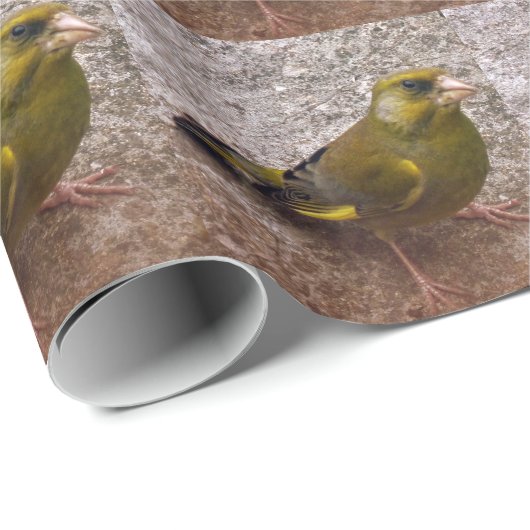 Mooie Finch Cadeaupapier (Rol Hoek)