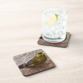 Mooie Finch Drankjes Onderzetter (Rechterzijde)