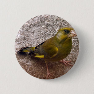 Mooie Finch Ronde Button 5,7 Cm