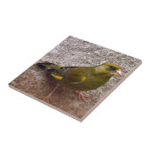 Mooie Finch Tegeltje (Zijkant)