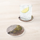 Mooie Finch Zandsteen Onderzetter (Zijkant)