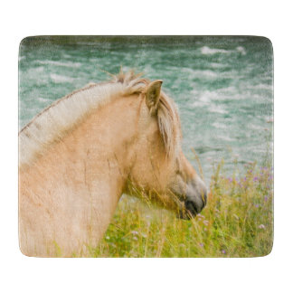 Mooie Fjord Horse Snijplank