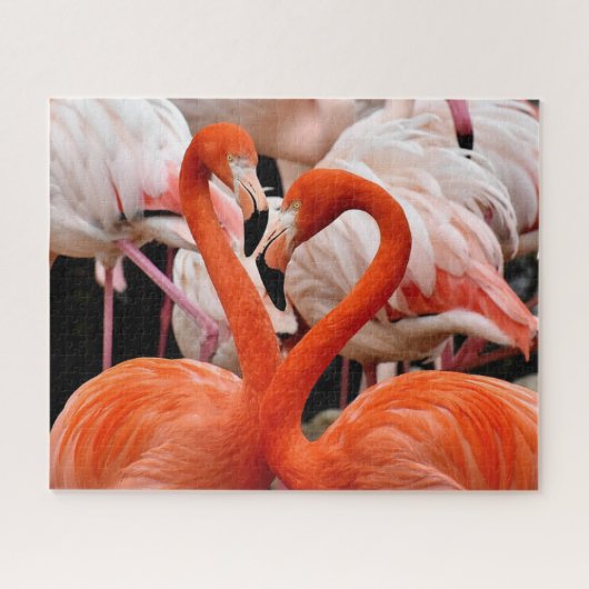 Mooie Flamingo Birds Legpuzzel (Horizontaal)