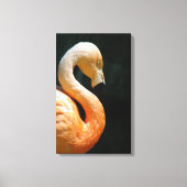 Mooie Flamingo gewikkeld canvas! Canvas Afdruk (Voorkant)