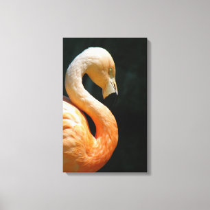 Mooie Flamingo gewikkeld canvas! Canvas Afdruk