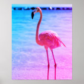 Mooie Flamingo in het water op een strand Poster (Voorkant)