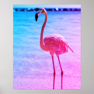 Mooie Flamingo in het water op een strand Poster