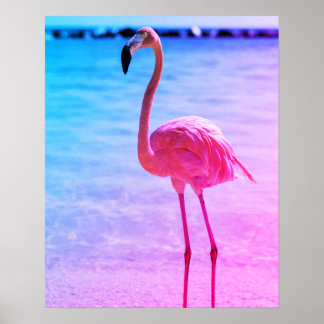 Mooie Flamingo in het water op een strand Poster