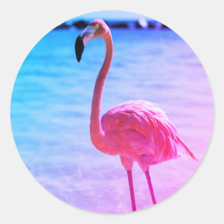 Mooie Flamingo in het water op een strand Ronde Sticker