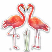 Mooie Flamingo Koppel Sticker (Voorkant)