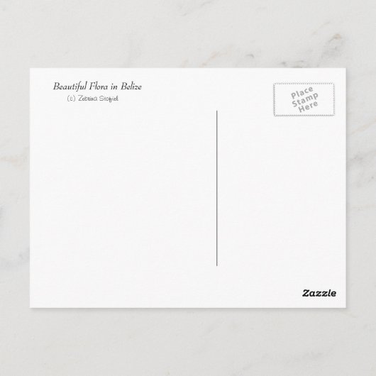 Mooie Flora in Belize Briefkaart (Achterkant)