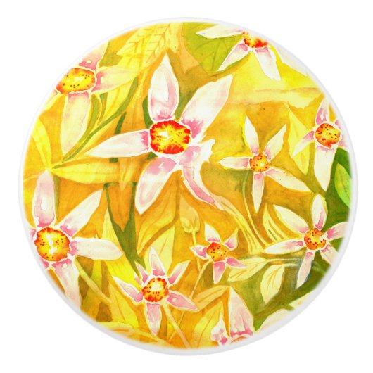 Mooie Florence Waterverf keramische deurknop Keramische Knop (Voorkant)