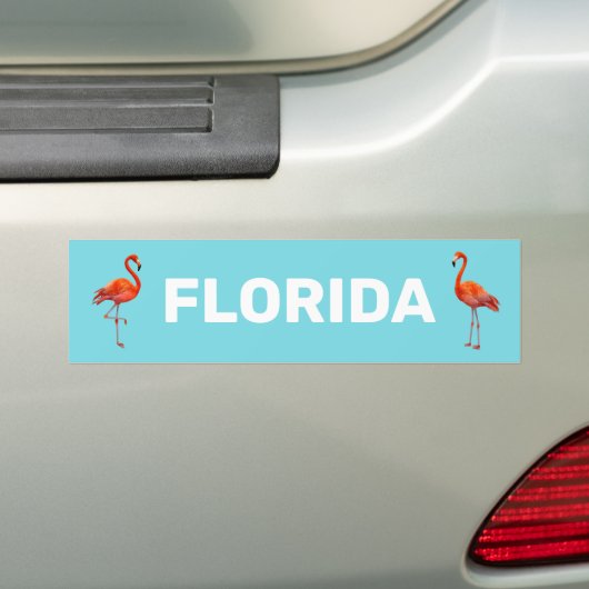 Mooie Florida Flamingos op Light Blue Bumpersticker (Op auto)