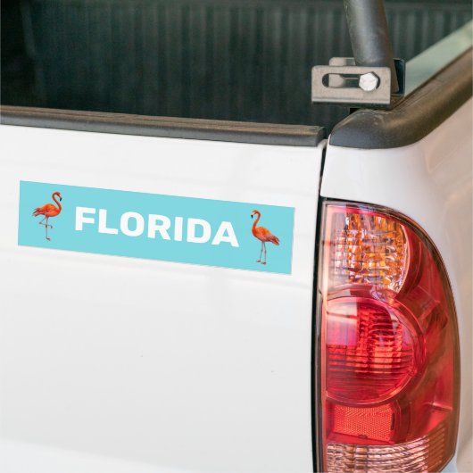Mooie Florida Flamingos op Light Blue Bumpersticker (Op Truck)