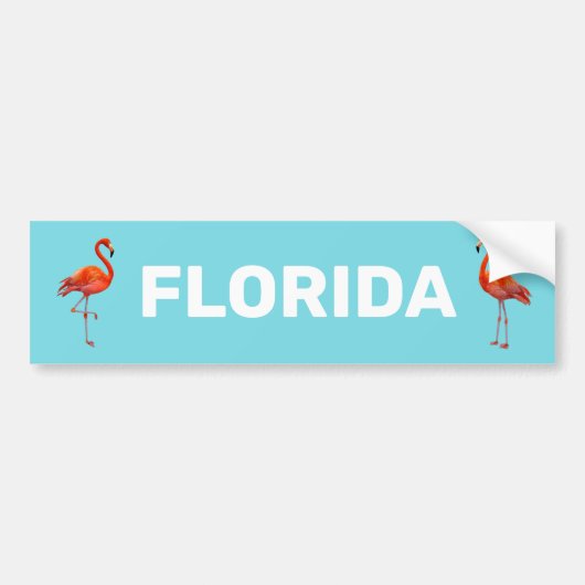 Mooie Florida Flamingos op Light Blue Bumpersticker (Voorkant)