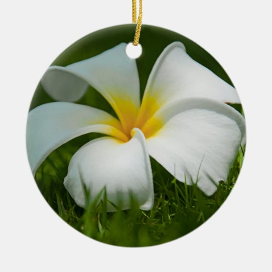 Mooie Flowers Close-up - Ornamenten (Voorkant)
