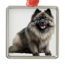 MOOIE FLUFFY KEESHOND PUPPY HOND