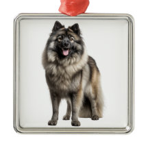 MOOIE FLUFFY KEESHOND PUPPY HOND