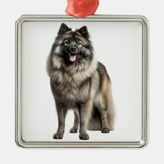 MOOIE FLUFFY KEESHOND PUPPY HOND METALEN ORNAMENT (Voorkant)