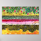 Mooie forel kunst poster (Voorkant)