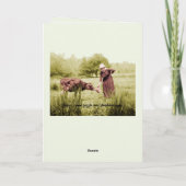 MOOIE FOTO 1910'S VROUW VOEDEN KOE KAART (Achterkant)