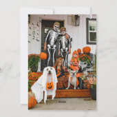 Mooie foto Happy Halloween Kaart (Achterkant)