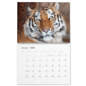 Mooie foto-kalender voor grote katten kalender (Jan 2026)