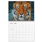 Mooie foto-kalender voor grote katten kalender (Mar 2026)
