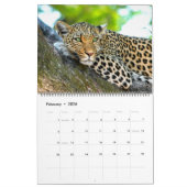 Mooie foto-kalender voor grote katten kalender (Feb 2026)